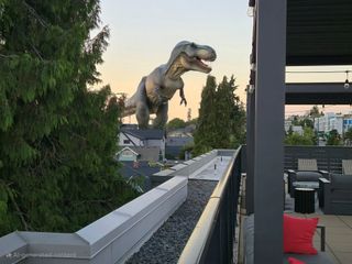 A dinosaur in a neighborhood