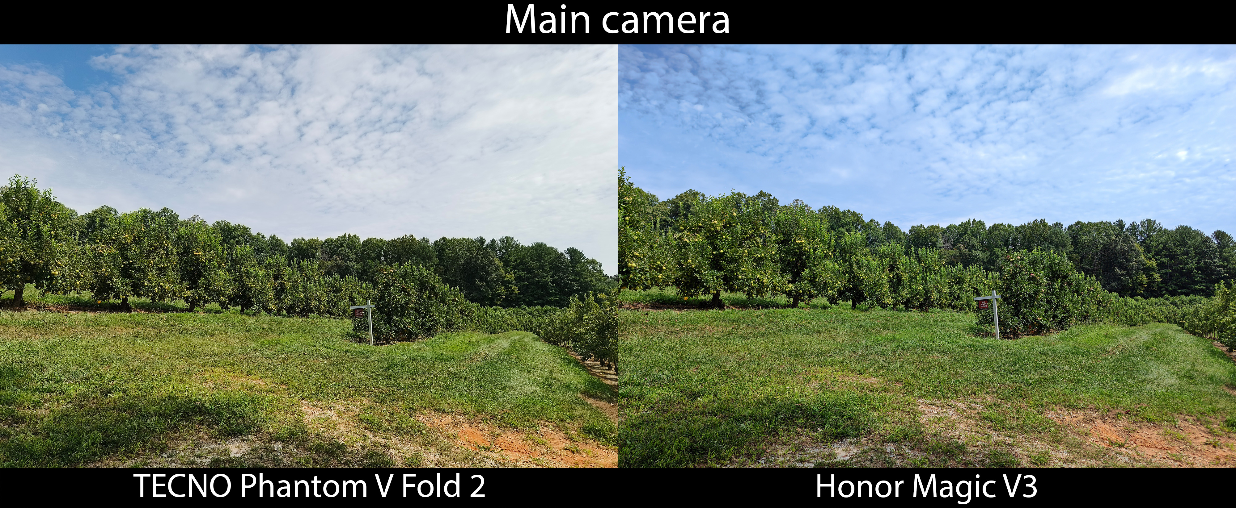 Comparing the cameras of the TECNO Phantom V Fold 2 and the Honor Magic V3