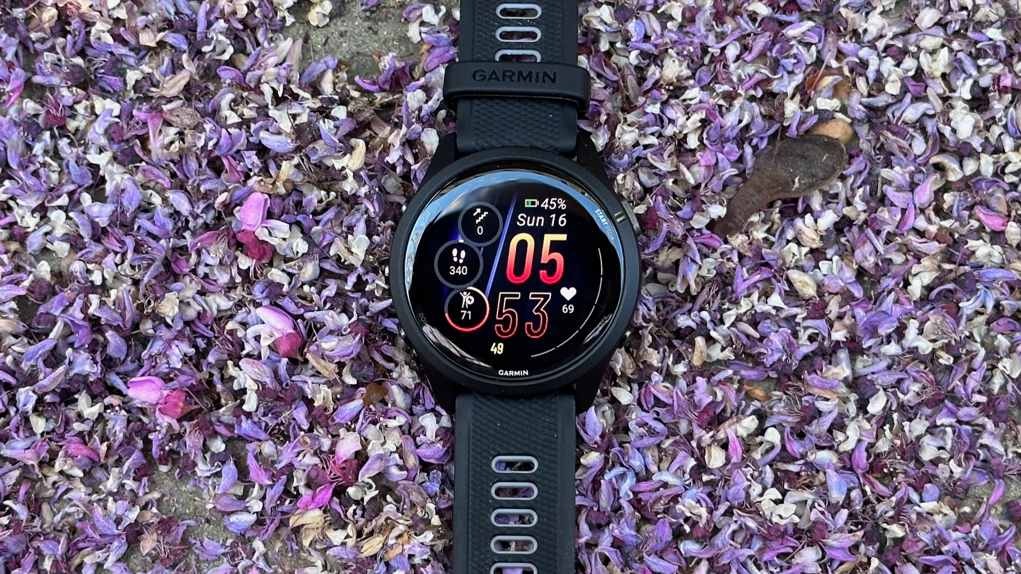 The Garmin Forerunner 265 sitting on fallen leaves