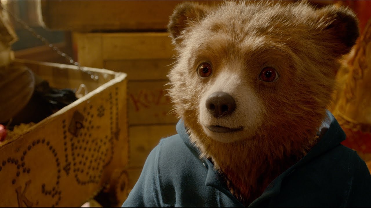 A wide-eyed Paddington Bear looks at someone just off camera