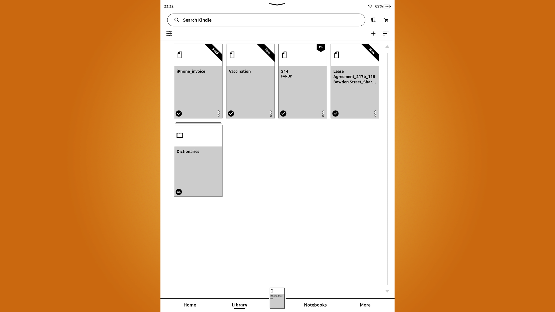 Screenshot showing the pdfs saved on a Kindle