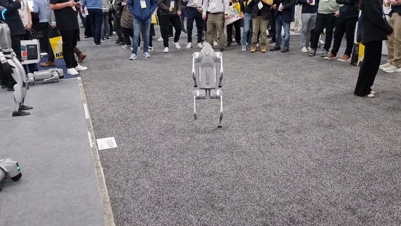 Unitree Go1 robot dog staggering about @ CES 2025 - YouTube