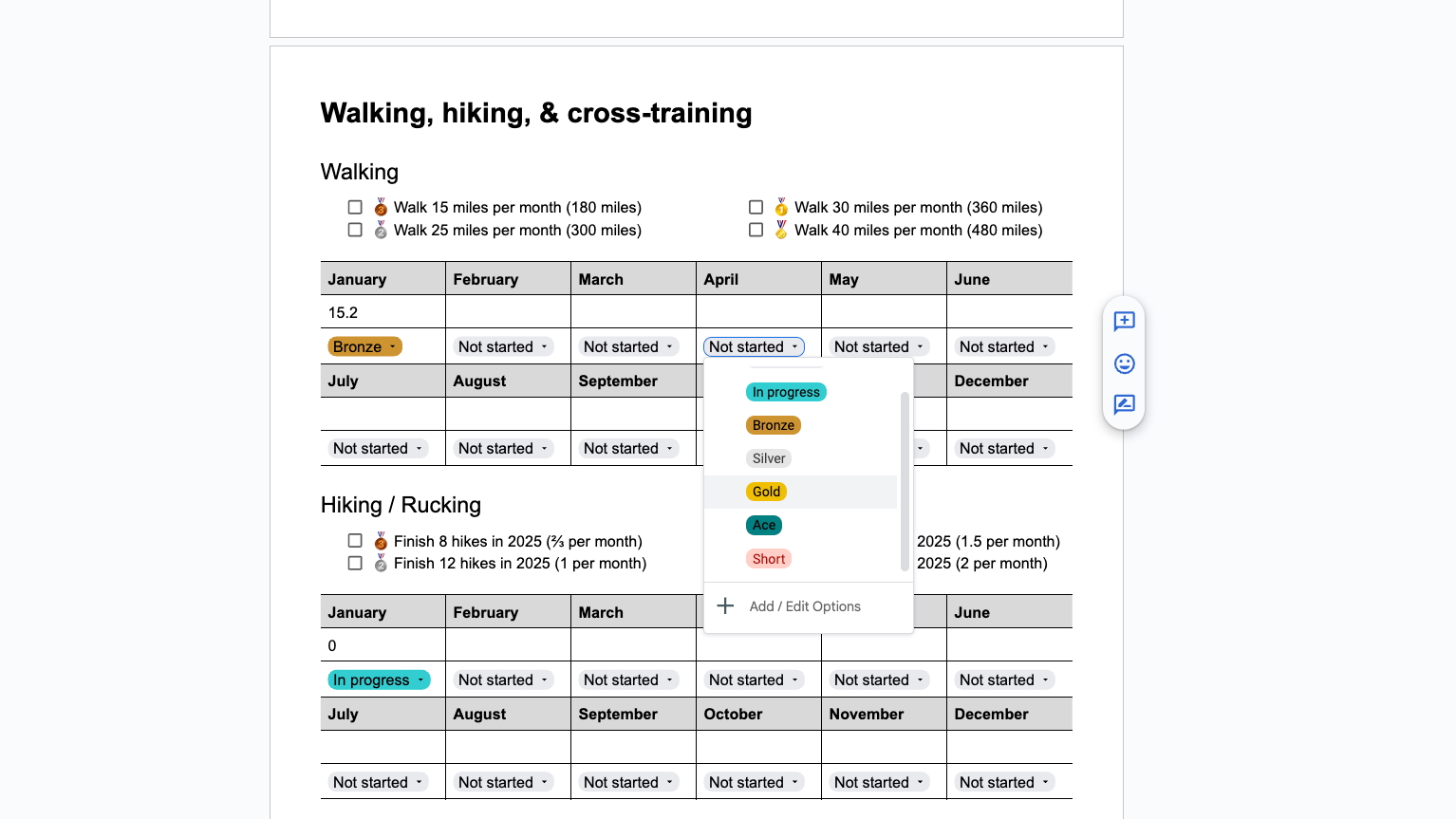 A Google doc file showing my goals for finishing a certain number of hikes and miles walked per year, with bronze, silver, gold, and ace benchmarks for any given month.