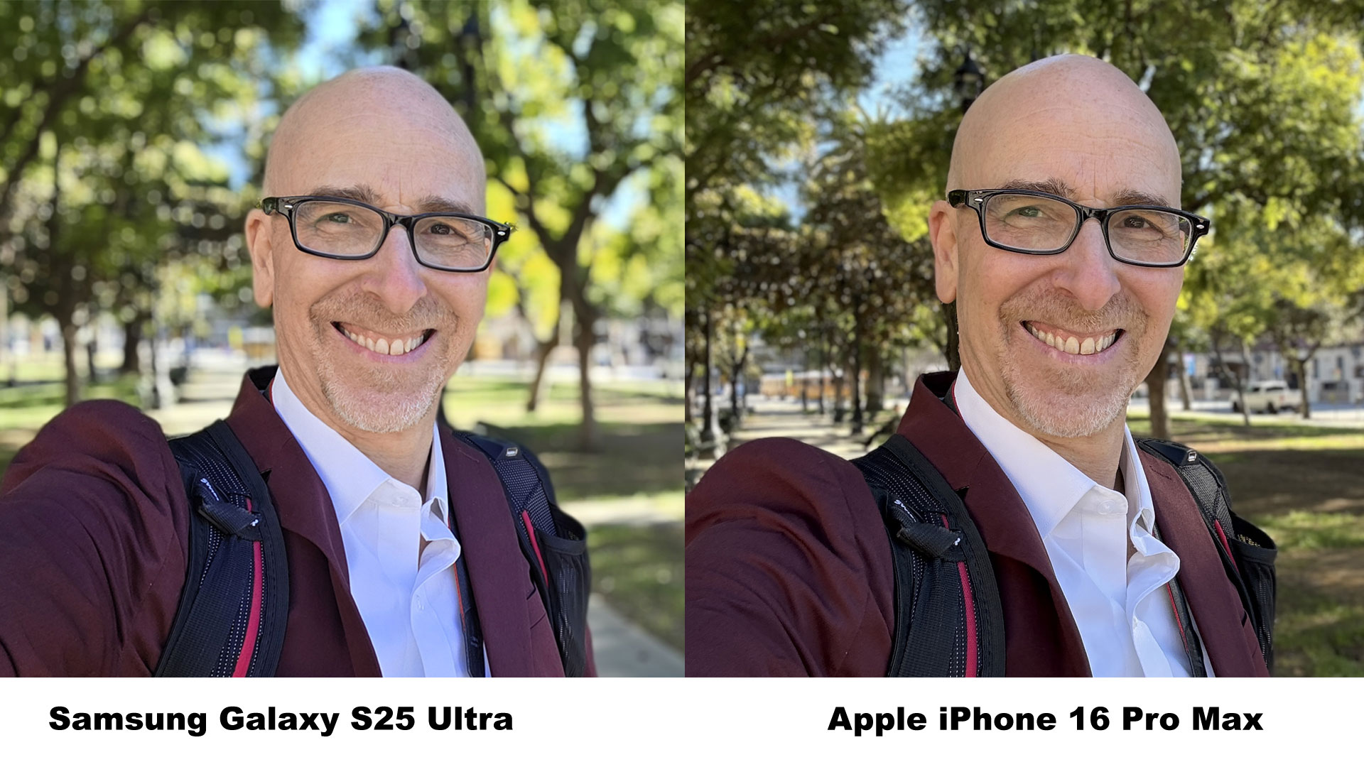 Samsung Galaxy S25 Ultra vs iPhone 16 Pro Max Cameras