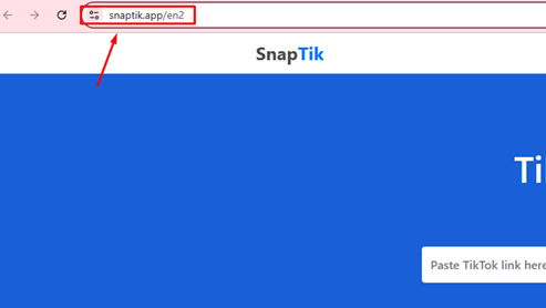 Screenshot of SnapTik website