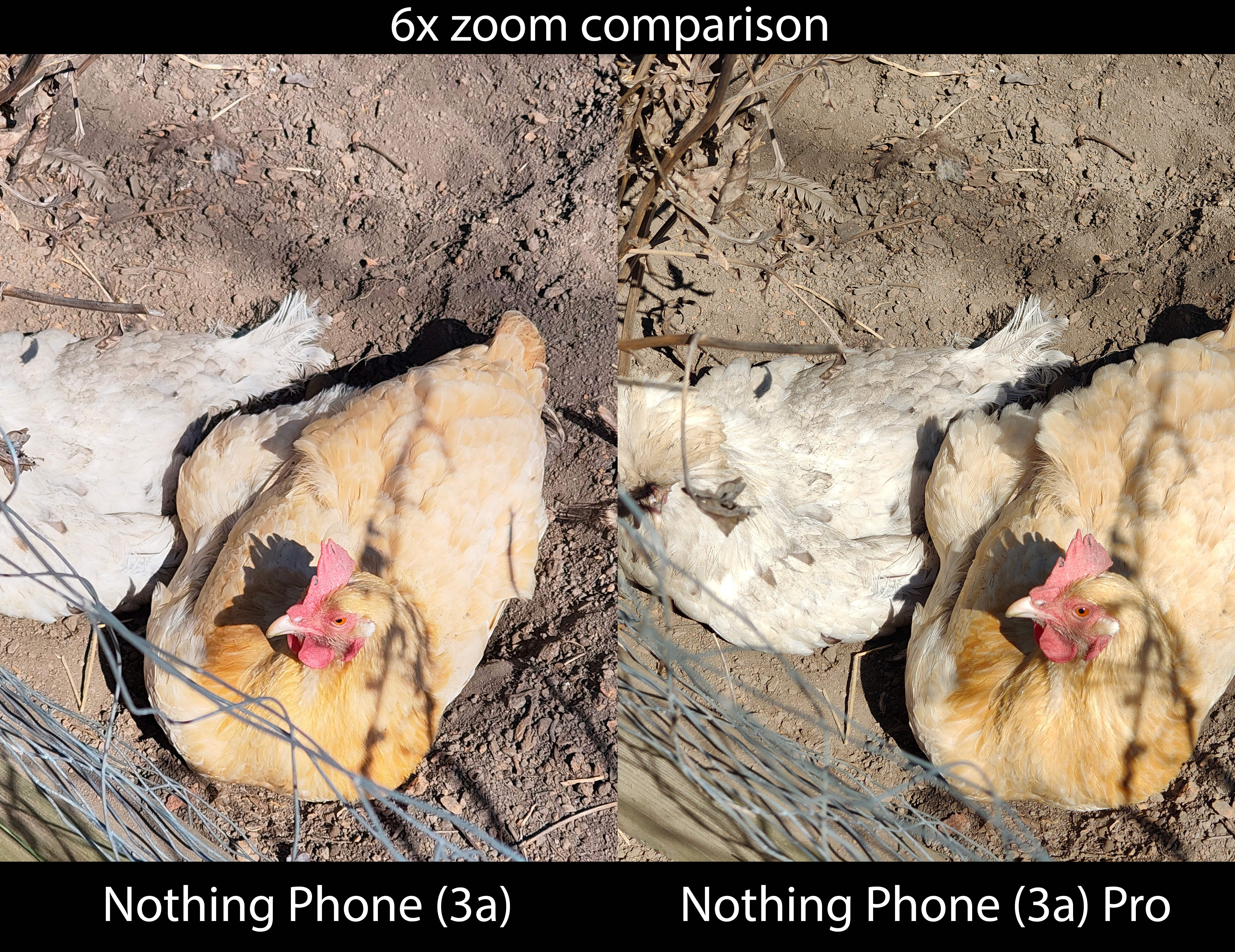 Comparing camera zoom detail between the Nothing Phone 3a and Phone 3a Pro