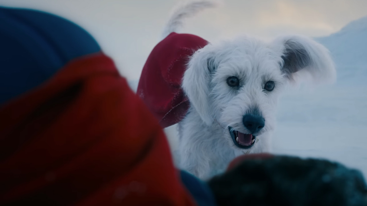 Krypto the Superdog standing over Clark Kent in 2025's Superman movie