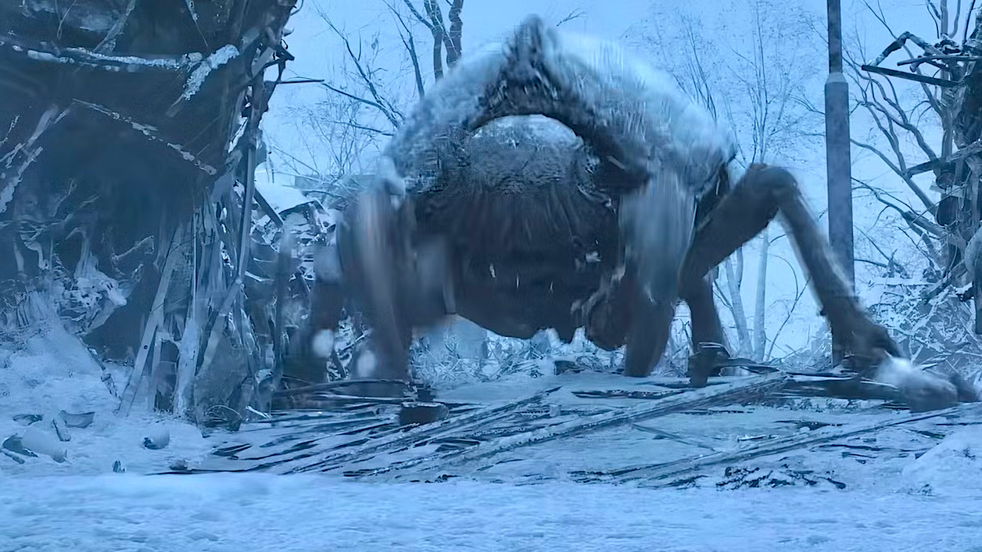 A spider crashes through a woodland