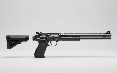 Best Pellet Guns for Target Shooting and Hunting
