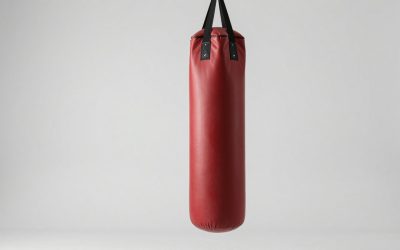 Best Punching Bags for Home Training