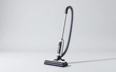 Best Vacuums for Couches: Powerful & Portable