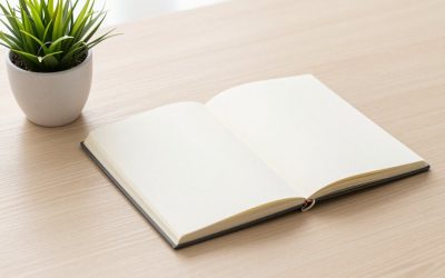Palland vs Palworld: Key Differences Compared